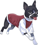 犬のイラスト